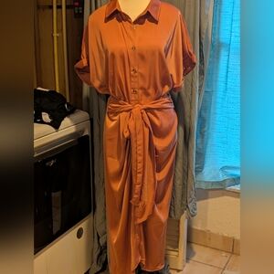 Chic Button-Down Midi Dress in Rust